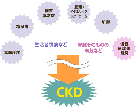 慢性腎臓病（CKD）